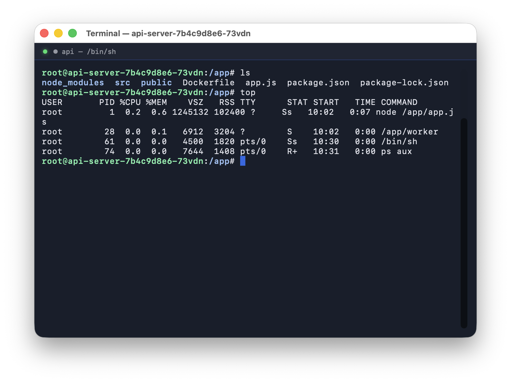Kubius terminal - an interactive shell exec'd into a container in its own native window.